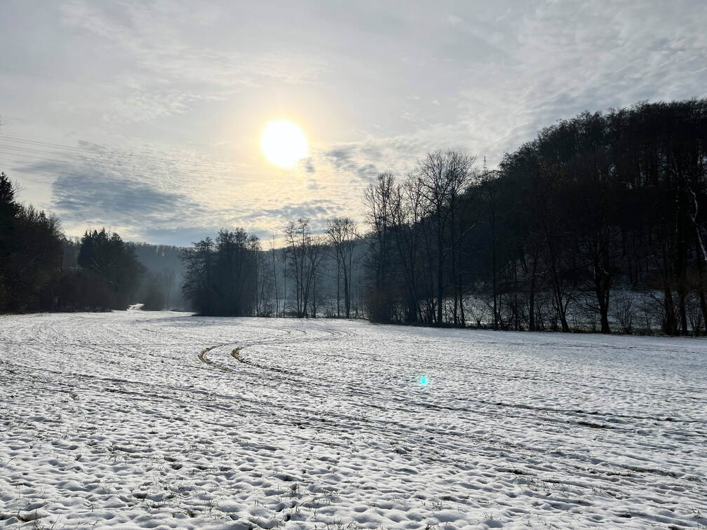 22-12-19 12-33-59 3621